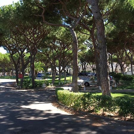 Estudio Tranquilo Praia Da Falesia Albufeira Eksteriør billede